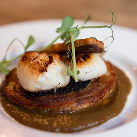 雷索鲁森酒店 惠特比